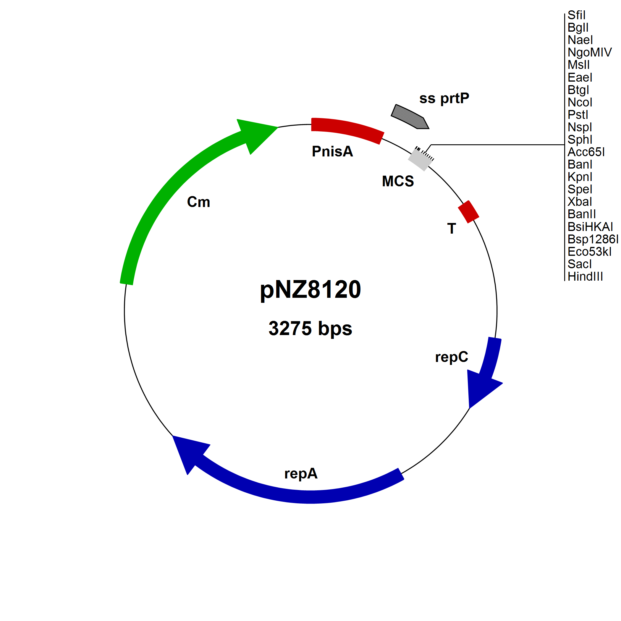 NICE® pNZ8120 Lactococcus lactis secretion vector, NaeI site, 10 µg